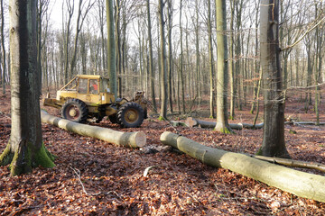 Holzrückung mit Forstschlepper LKT