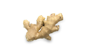 Ginger, the root or the rhizome