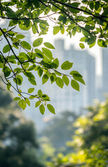Fresh Green Leaves with Blurred Cityscape in the Background


