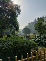 Random Clicks