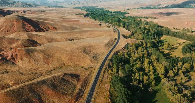 A winding road surrounded by arid hills and lush green trees along the side of the road... It offers a view where wild nature meets fertile land. White car.