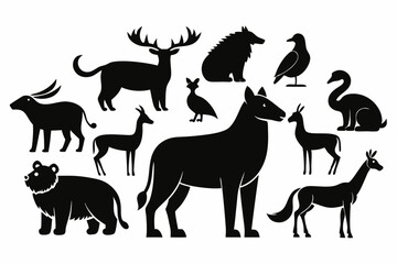 "Color Doodle 50 Animals Sketch Vector Illustration on White Background"


