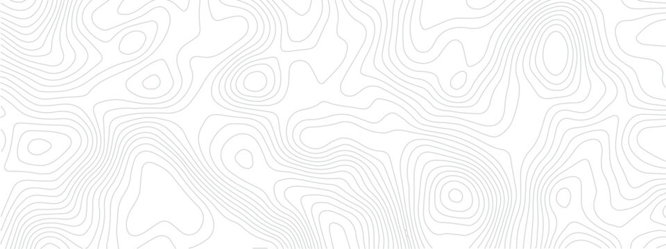 Abstract Geometric Line Pattern Depicting Sea Maps, Topography, and Discovery Areas on a Mounted Grid Landscape
