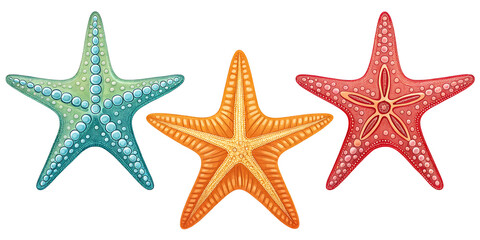 Vibrant Colorful Starfish Collection, Three Beautiful Variations, PNG Transparent