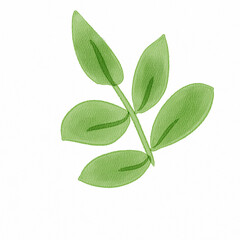 An Illustration of leaf with watercolor style