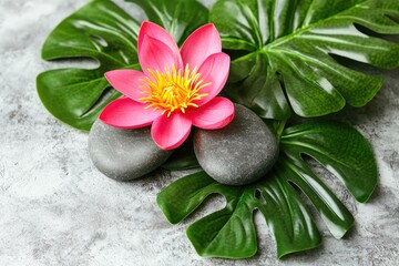 Fototapeta premium Spa Stones Stacked with Lotus Petals