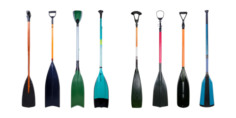 Various Colorful Paddles for Water Sports and Outdoor Activities