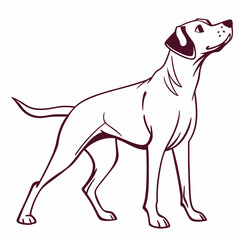 illustration of a dog