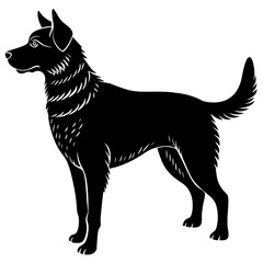 vector illustration of a dog