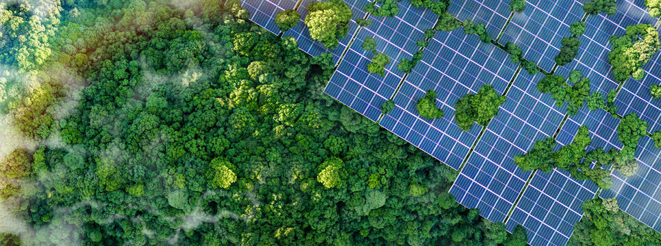 Solar panels installed in the green forest, clean alternative energy concept, sustainable energy, environment, solar power, generator