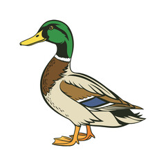 color vector duck on a white background