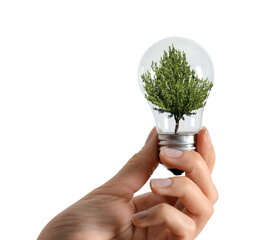 Woman holding light bulb with tree inside on white background, closeup. Green energy concept