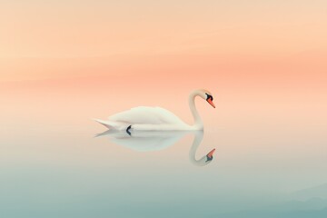 Naklejka premium Graceful swan swimming at sunset tranquil lake wildlife serene environment side view nature's beauty