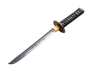 Martial arts sword training dojo blade action isolated on transparent background - Generative AI