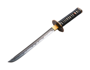 Martial arts sword training dojo blade action isolated on transparent background - Generative AI