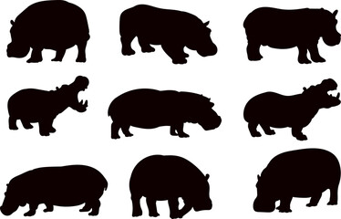 hippos set silhouette on white background vector