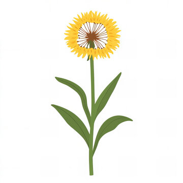 recommend clip art: Single Yellow Dandelion Flower with Stem and Leaves, Isolated on White Background