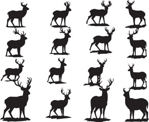 Fototapeta premium Set of silhouettes male and female red deer in different poses. Noble deer Cervus elaphus. Wild vector animal