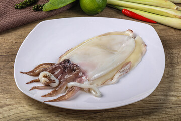 Raw fresh cuttlefish for cooking