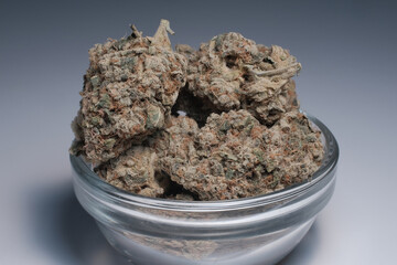 Marijuana buds closeup. Medicinal CBD cannabis flowers on grey background. Hemp recreation, alternative herbal therapy, contemporary medical use, marihuana legalization..