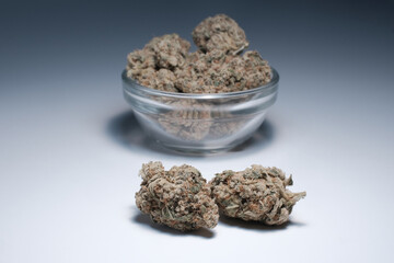 Marijuana buds close-up. Medicinal CBD cannabis flowers on grey background. Hemp recreation, alternative herbal therapy, contemporary medical use, marihuana legalization..