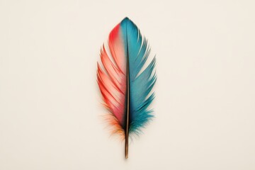 Vibrant feather showcasing a blend of blue and red hues on a minimalist background