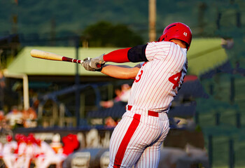 cropped baseball hitter