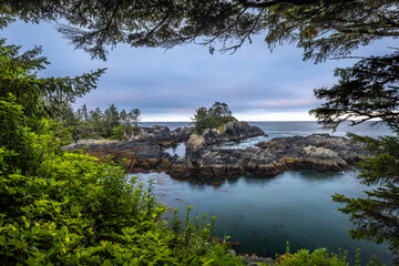 At blue hour ( sunrise), the rugged rocky shoreline overlooking the Pacific Ocean alongside the Wild Pacific Trail in Ucluelet, Vancouver Island, Canada.