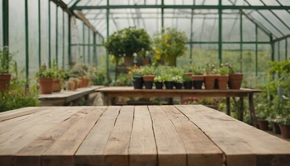 empty wooden table Greenhouse with bonsai trees orchids and other exotic plants created 5