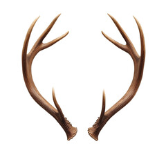 Fototapeta premium Deer antlers isolated on transparent background