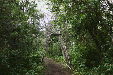 A view of a branch trellis entrance in the forest.
