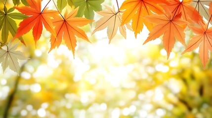 Autumn Maple Leaves Against A Bright Yellow Background
