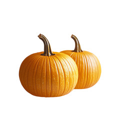 Two Perfect Pumpkins on White Background - Autumn Harvest