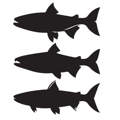 Silhouette of arctic char fish stock illustration, Fish vector illustration.