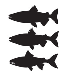 Silhouette of arctic char fish stock illustration, Fish vector illustration.