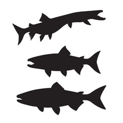 Silhouette of arctic char fish stock illustration, Fish vector illustration.