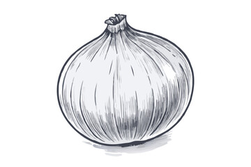 Hand-drawn sketch of an onion. Vegetable drawing. Detailed vintage-style illustration, perfect for packaging, branding, farmers markets, organic food labels, menus, and botanical prints.
