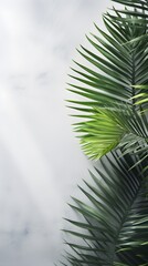 Fototapeta premium Lush Green Tropical Palm Fronds on Gray Background Summer Nature Floral Design Element