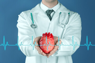 Cardiology. Doctor holding anatomical model of heart on color background, closeup. Blue heartbeat...