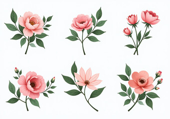 elegant flowers greenery used logos decorations weddings invitations save date cards trendy botanical feel