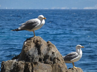 La mer