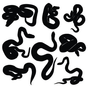 Snake silhouette, Isolated snake silhouette on white background, snake silhouette high quality vector, venomous snake collection, Russell's viper, python.