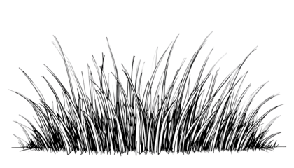 black nad white png of grass no background 