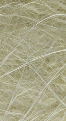 Obraz premium High-Quality Fiberglass Insulation for Energy Efficiency and Thermal Protection in Construction