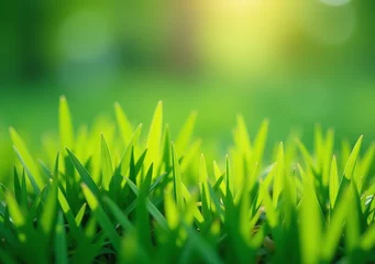 Gardinen green grass calming color often used landscapes soothing effects © BeaRod