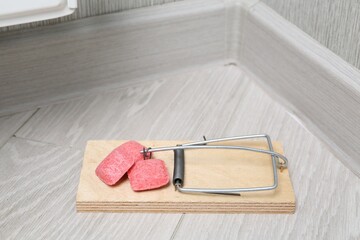 Mouse trap with rat poison on floor indoors