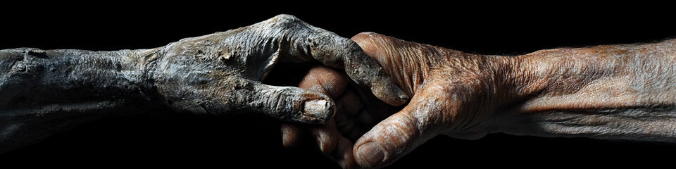 Two Clasped Elderly Hands
