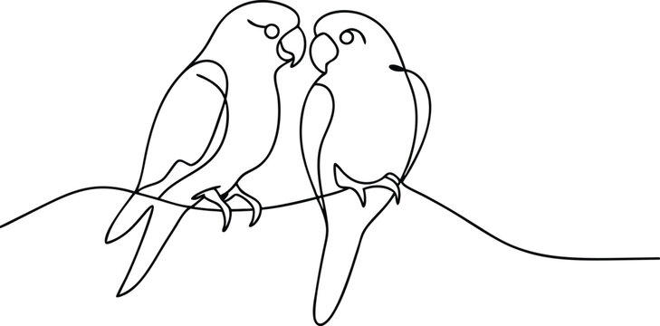 Loving Parakeets Line Art Drawing Couple Birds Perch