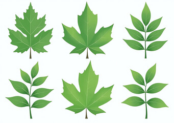 vector green leaf collection design use eps format readily
