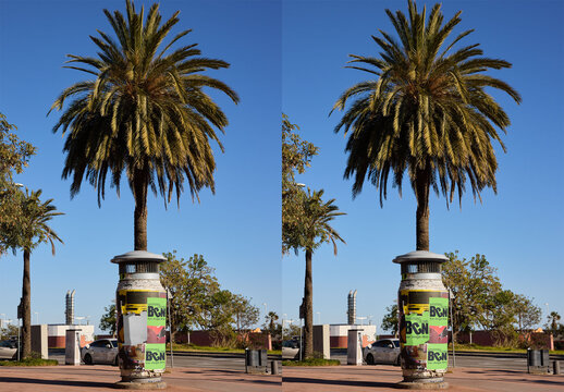 Commercial Kiosk With Posters Under Palm Trees in Barcelona